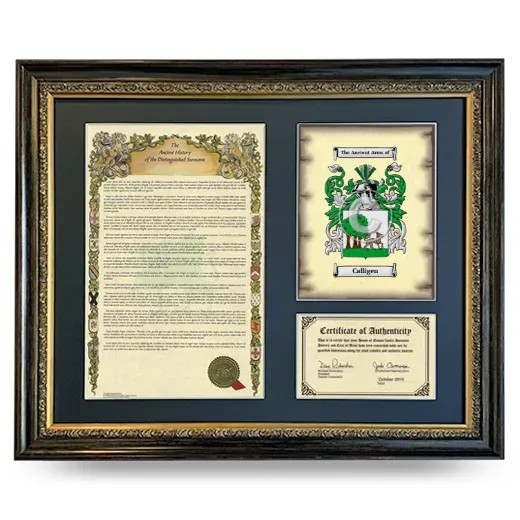 Calligen Framed Surname History and Coat of Arms- Heirloom