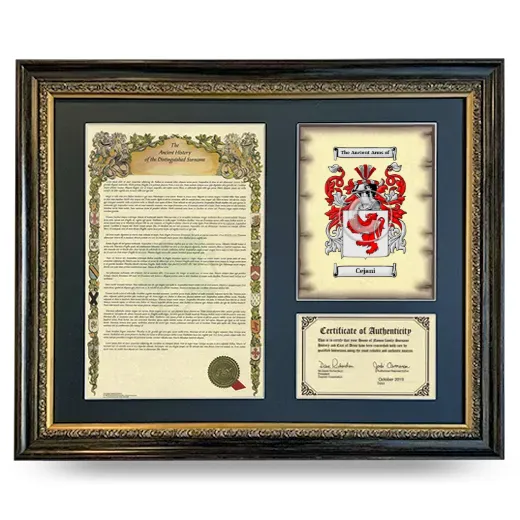Cejani Framed Surname History and Coat of Arms- Heirloom
