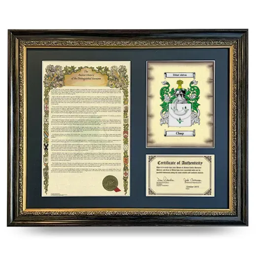 Chap Framed Surname History and Coat of Arms- Heirloom