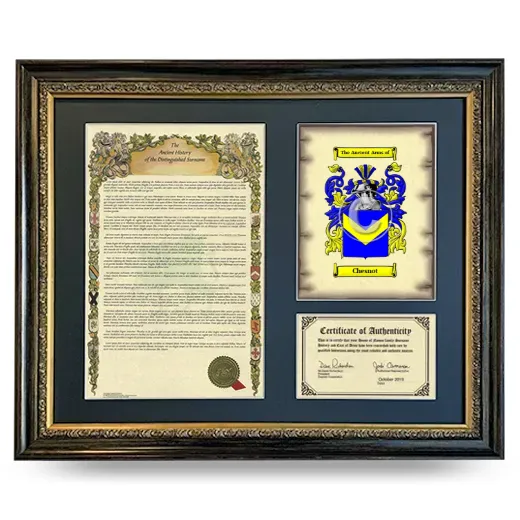 Chesnot Framed Surname History and Coat of Arms- Heirloom