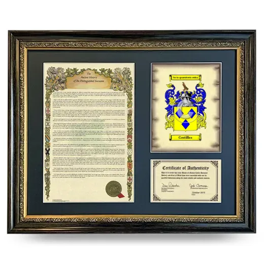 Costillas Framed Surname History and Coat of Arms- Heirloom