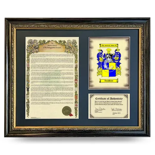 Dandowe Framed Surname History and Coat of Arms- Heirloom