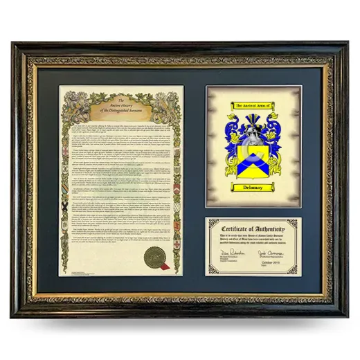 Delamay Framed Surname History and Coat of Arms- Heirloom