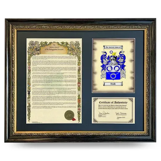 Dook Framed Surname History and Coat of Arms- Heirloom