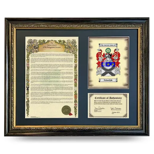 Drisedyle Framed Surname History and Coat of Arms- Heirloom