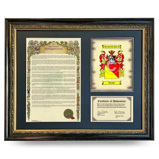 Droste Framed Surname History and Coat of Arms- Heirloom