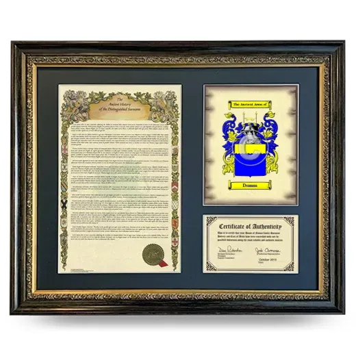 Dumm Framed Surname History and Coat of Arms- Heirloom