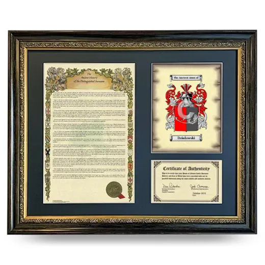 Dzialowski Framed Surname History and Coat of Arms- Heirloom