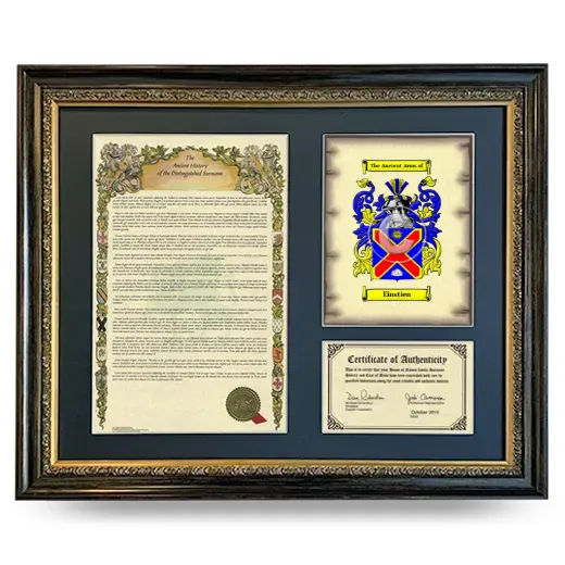 Einstien Framed Surname History and Coat of Arms- Heirloom