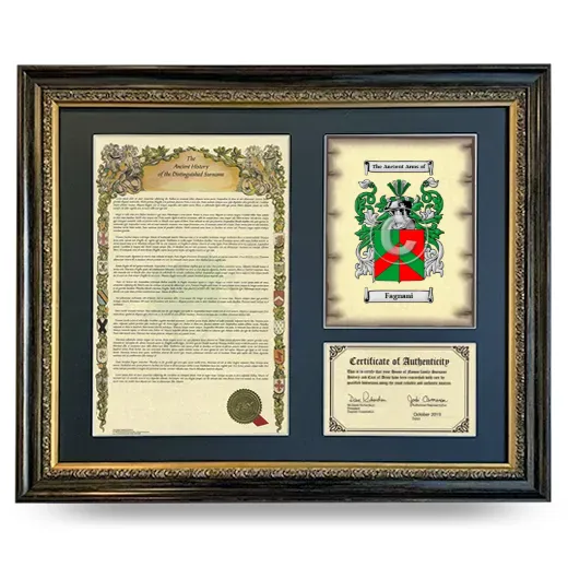 Fagnani Framed Surname History and Coat of Arms- Heirloom