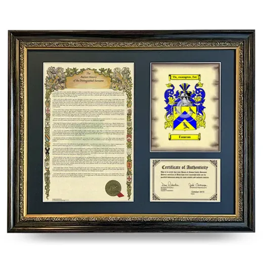 Faucon Framed Surname History and Coat of Arms- Heirloom