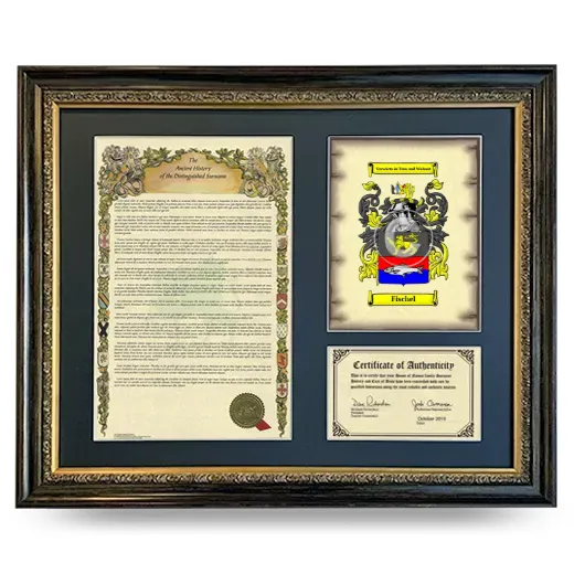 Fischel Framed Surname History and Coat of Arms- Heirloom
