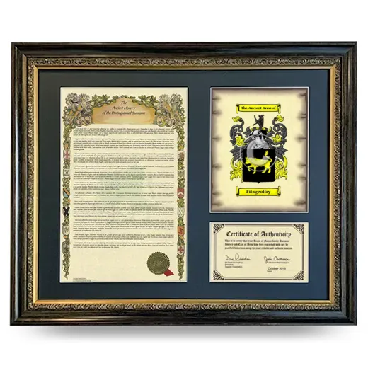 Fitzgeoffry Framed Surname History and Coat of Arms- Heirloom