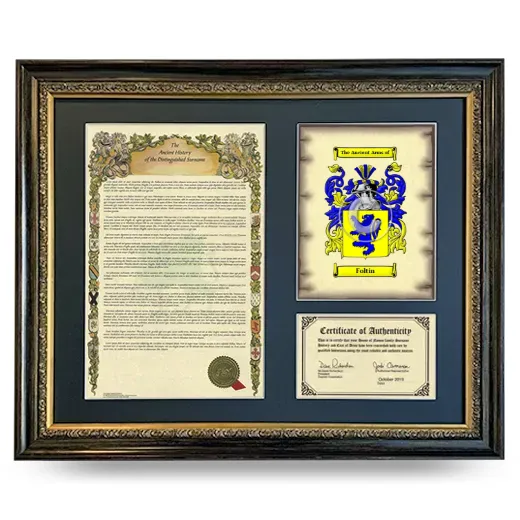 Foltin Framed Surname History and Coat of Arms- Heirloom