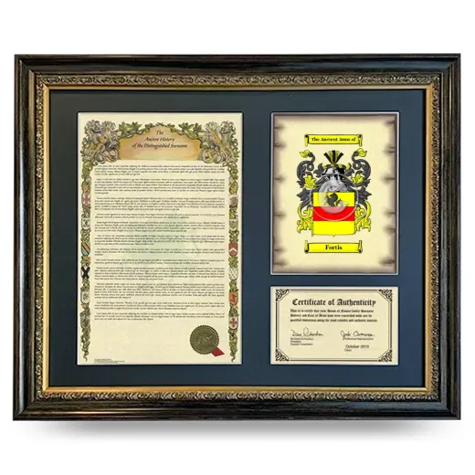 Fortis Framed Surname History and Coat of Arms- Heirloom