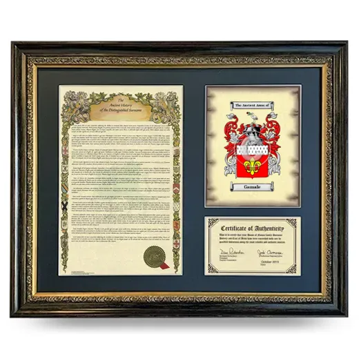 Gamale Framed Surname History and Coat of Arms- Heirloom