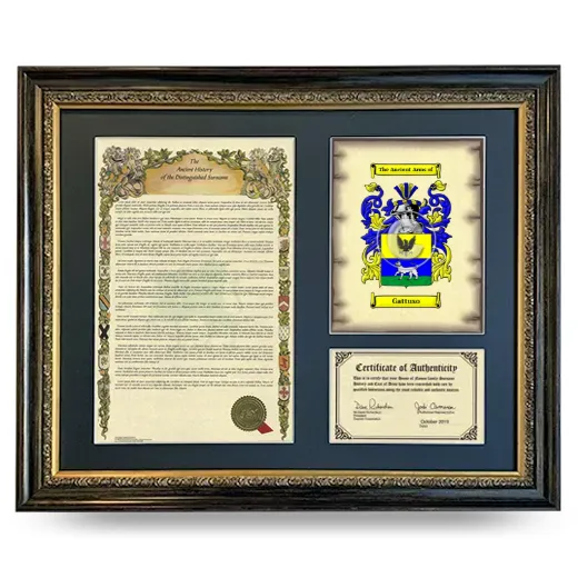 Gattuso Framed Surname History and Coat of Arms- Heirloom