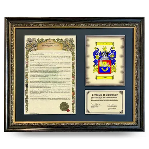 Gilis Framed Surname History and Coat of Arms- Heirloom