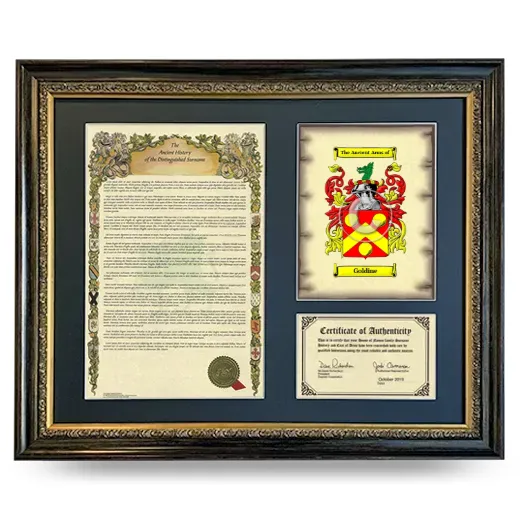 Goldine Framed Surname History and Coat of Arms- Heirloom