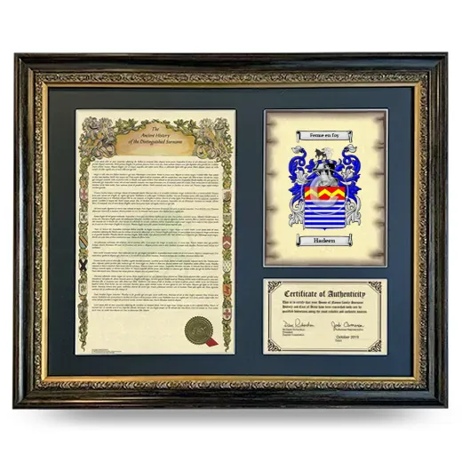 Hadeen Framed Surname History and Coat of Arms- Heirloom