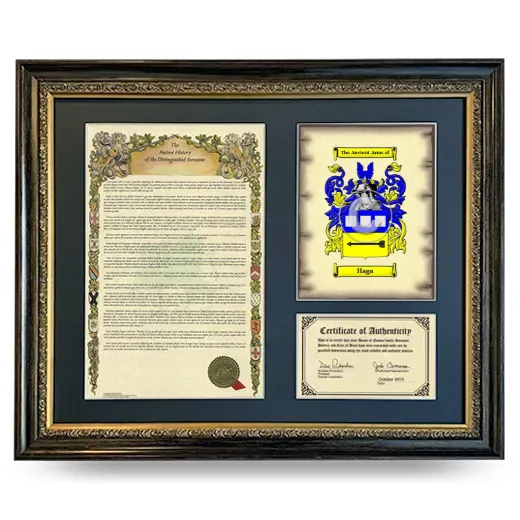 Haga Framed Surname History and Coat of Arms- Heirloom