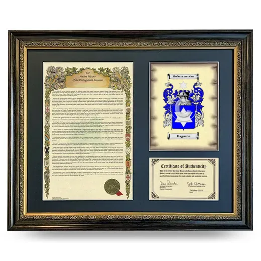 Hagarde Framed Surname History and Coat of Arms- Heirloom