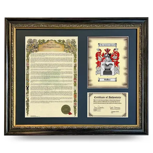 Halbur Framed Surname History and Coat of Arms- Heirloom
