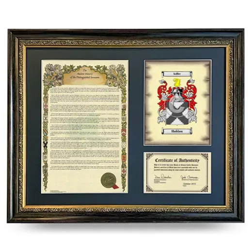 Haldan Framed Surname History and Coat of Arms- Heirloom