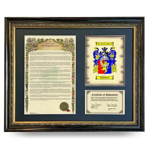 Haldoomb Framed Surname History and Coat of Arms- Heirloom