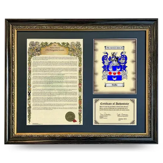 Hallo Framed Surname History and Coat of Arms- Heirloom
