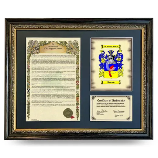 Haman Framed Surname History and Coat of Arms- Heirloom