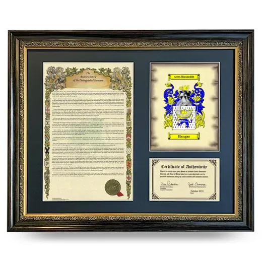 Hangar Framed Surname History and Coat of Arms- Heirloom