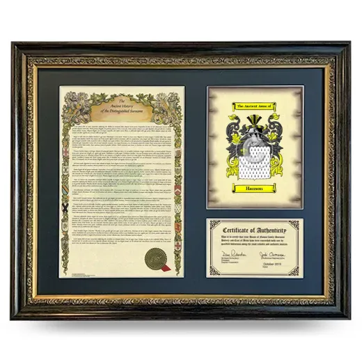 Hanson Framed Surname History and Coat of Arms- Heirloom