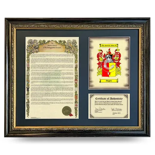Hegen Framed Surname History and Coat of Arms- Heirloom