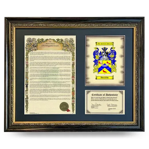 Henrichs Framed Surname History and Coat of Arms- Heirloom