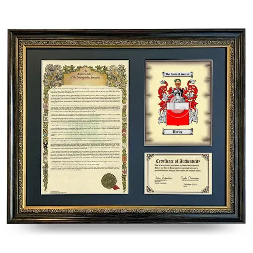 Hericy Framed Surname History and Coat of Arms- Heirloom
