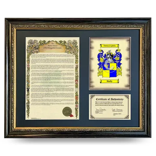 Hodly Framed Surname History and Coat of Arms- Heirloom
