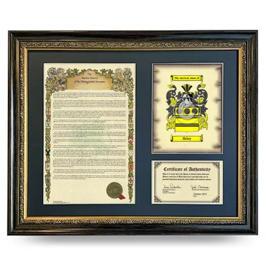 Ilsley Framed Surname History and Coat of Arms- Heirloom