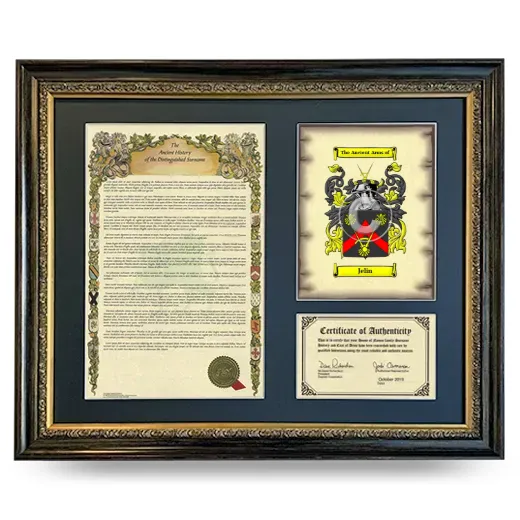 Jelin Framed Surname History and Coat of Arms- Heirloom