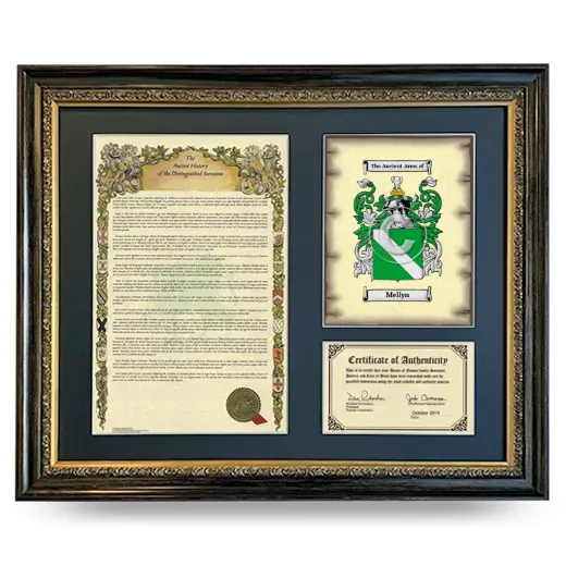 Mellyn Framed Surname History and Coat of Arms- Heirloom