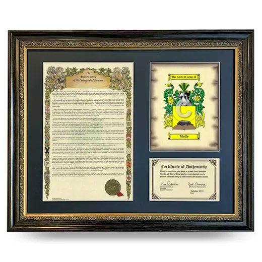 Molle Framed Surname History and Coat of Arms- Heirloom