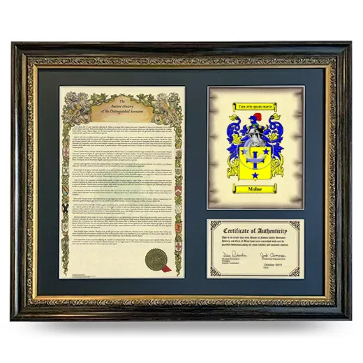 Molne Framed Surname History and Coat of Arms- Heirloom