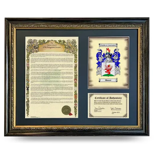 Mount Framed Surname History and Coat of Arms- Heirloom