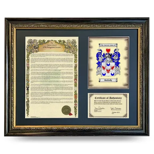 Mullally Framed Surname History and Coat of Arms- Heirloom