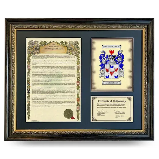 Mullinahone Framed Surname History and Coat of Arms- Heirloom
