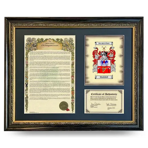 Mulvihill Framed Surname History and Coat of Arms- Heirloom
