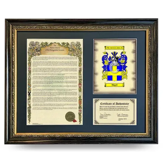 Nägel Framed Surname History and Coat of Arms- Heirloom