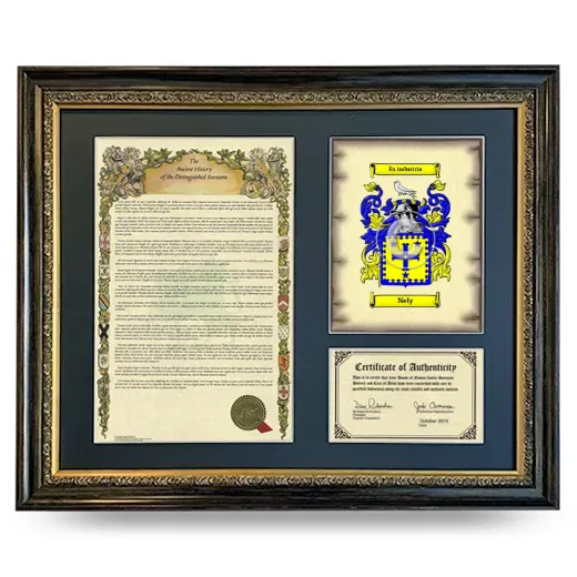 Nely Framed Surname History and Coat of Arms- Heirloom