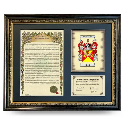 Newill Framed Surname History and Coat of Arms- Heirloom