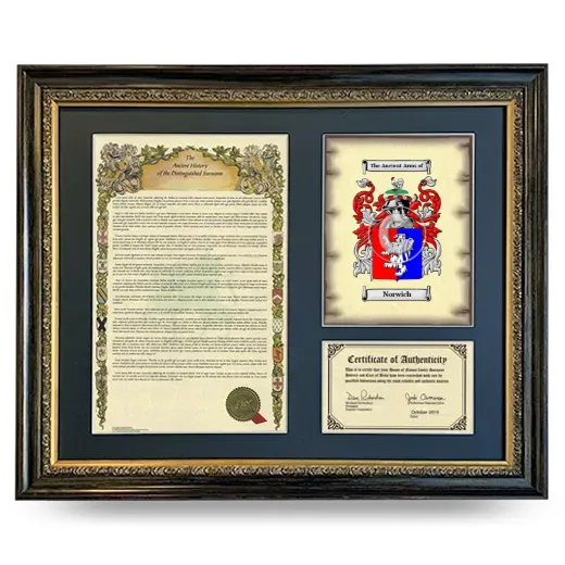 Norwich Framed Surname History and Coat of Arms- Heirloom